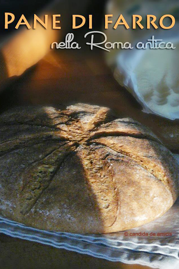 pane di farro