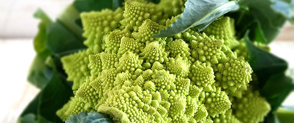 broccolo romanesco