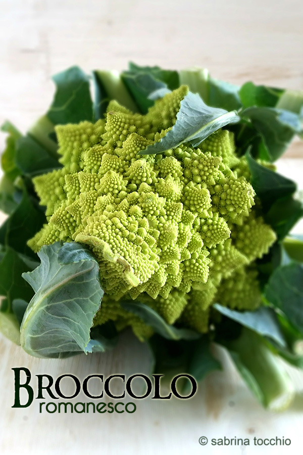 Broccolo romanesco