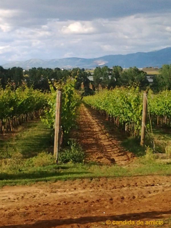 Casale del Giglio