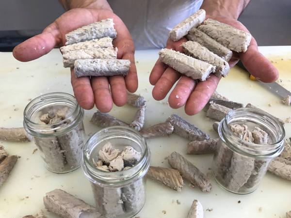 Manaide ad Anzio una tradizione antica