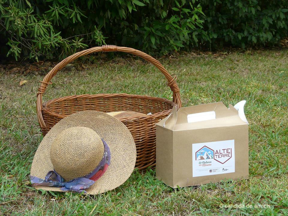 pic-nic-diffuso-alteterre