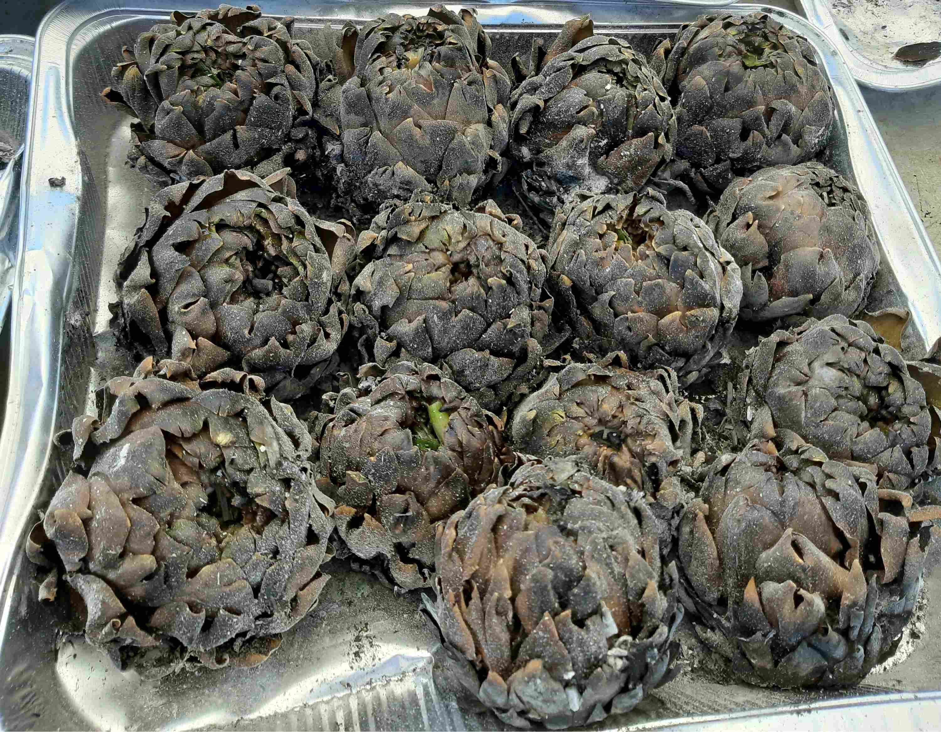 carciofi alla matticella