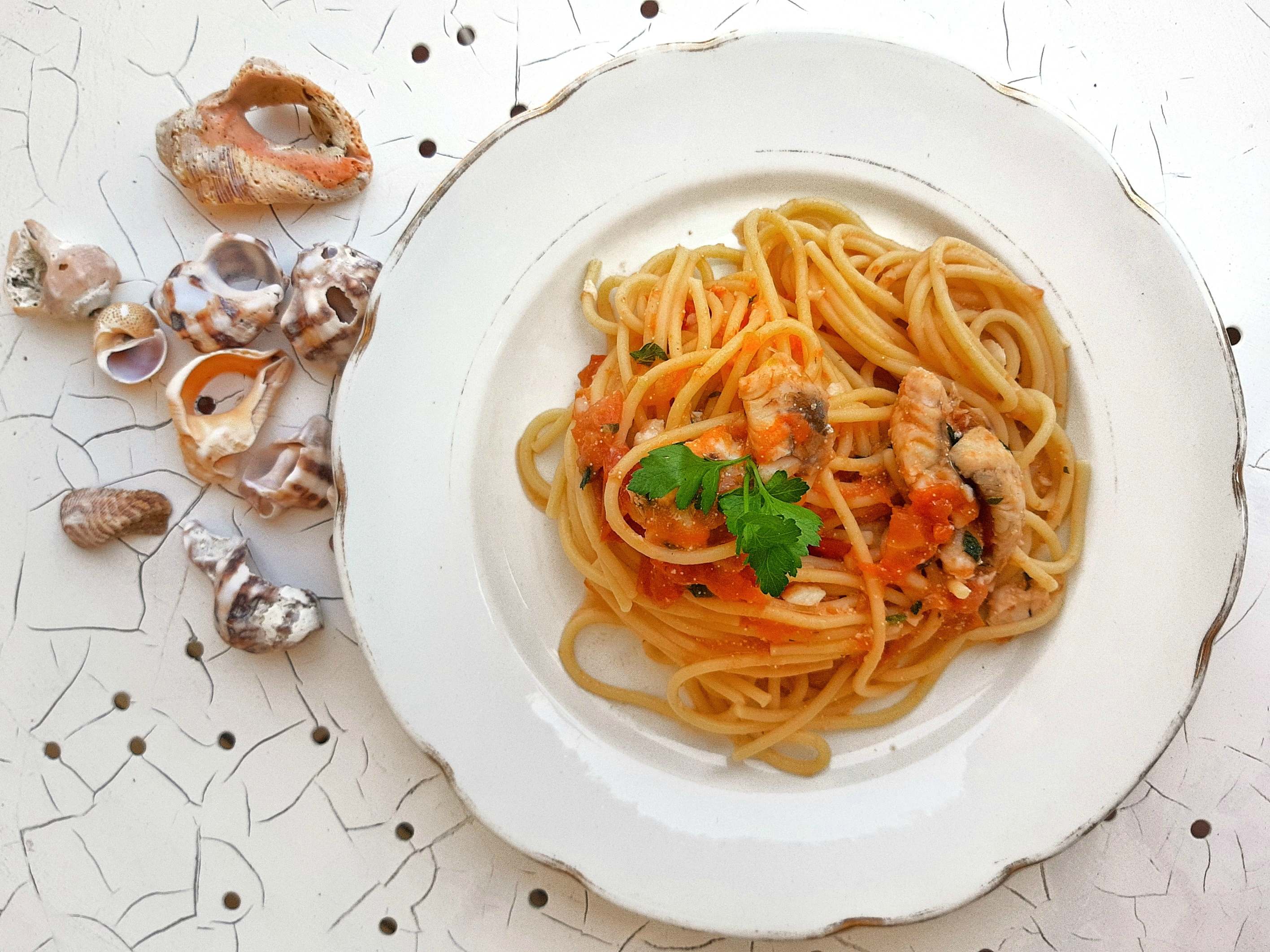 vermicelli-al-sugo-di-gallinella-di-mare