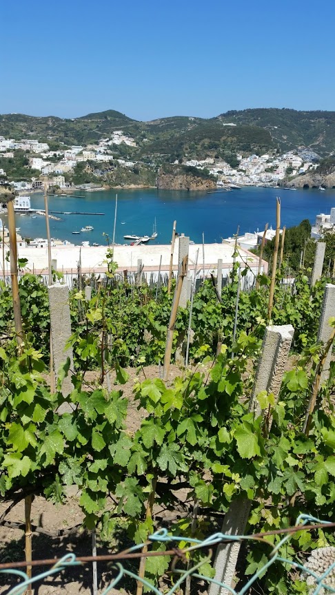 ponza-vigna-biancolilla