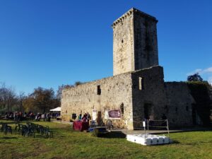 Torre S. Eleuterio, Arce