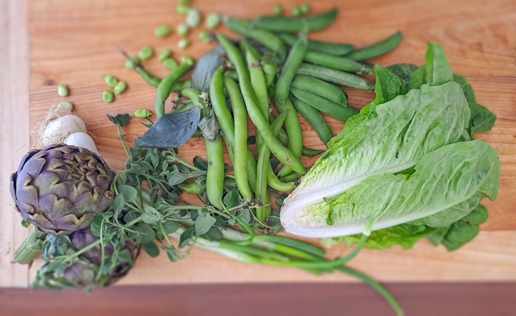 ingredienti vignarola in quattro cotture